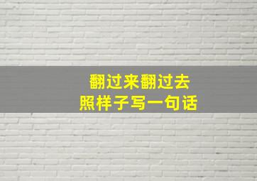 翻过来翻过去照样子写一句话