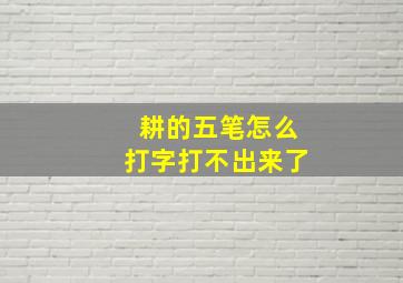 耕的五笔怎么打字打不出来了