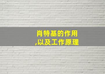 肖特基的作用,以及工作原理