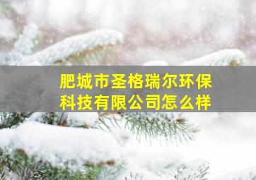 肥城市圣格瑞尔环保科技有限公司怎么样