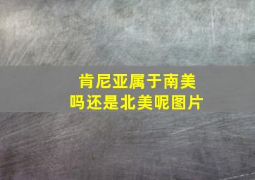 肯尼亚属于南美吗还是北美呢图片