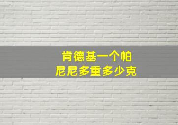 肯德基一个帕尼尼多重多少克