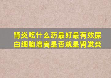 肾炎吃什么药最好最有效尿白细胞增高是否就是肾发炎