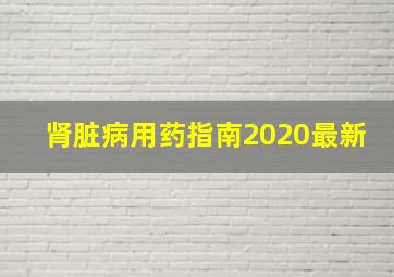 肾脏病用药指南2020最新