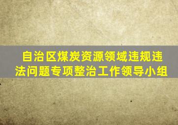 自治区煤炭资源领域违规违法问题专项整治工作领导小组