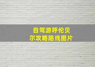 自驾游呼伦贝尔攻略路线图片