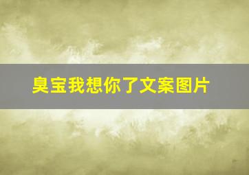 臭宝我想你了文案图片