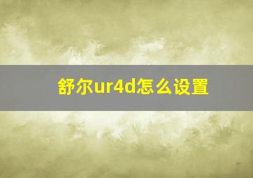 舒尔ur4d怎么设置