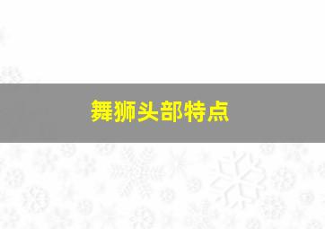 舞狮头部特点