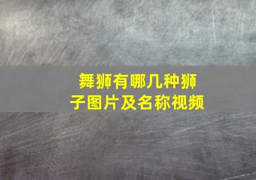 舞狮有哪几种狮子图片及名称视频