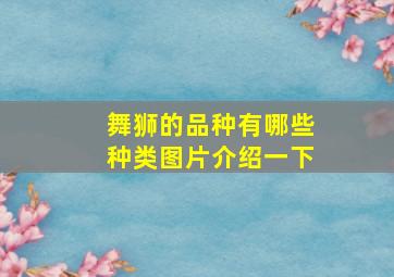 舞狮的品种有哪些种类图片介绍一下