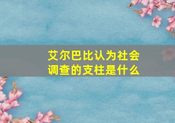 艾尔巴比认为社会调查的支柱是什么