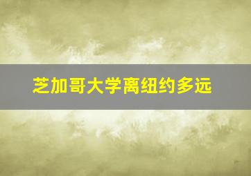 芝加哥大学离纽约多远