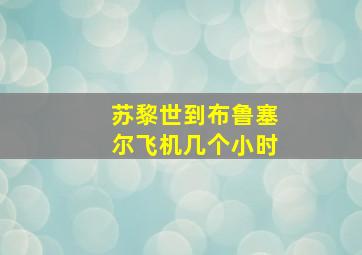 苏黎世到布鲁塞尔飞机几个小时