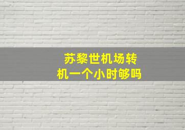 苏黎世机场转机一个小时够吗