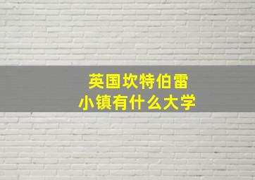 英国坎特伯雷小镇有什么大学