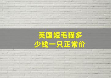 英国短毛猫多少钱一只正常价