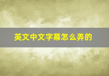 英文中文字幕怎么弄的