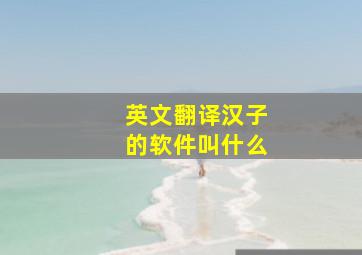 英文翻译汉子的软件叫什么