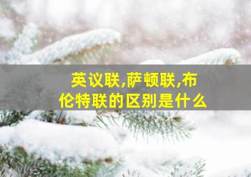 英议联,萨顿联,布伦特联的区别是什么