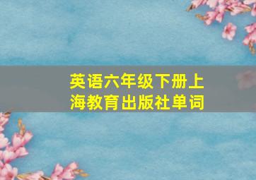 英语六年级下册上海教育出版社单词