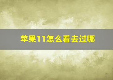 苹果11怎么看去过哪