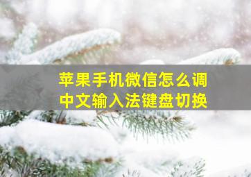 苹果手机微信怎么调中文输入法键盘切换