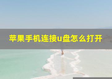 苹果手机连接u盘怎么打开