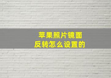 苹果照片镜面反转怎么设置的