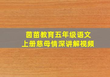 茵苗教育五年级语文上册慈母情深讲解视频