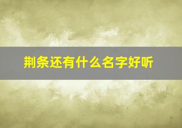 荆条还有什么名字好听