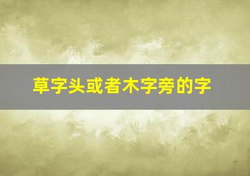 草字头或者木字旁的字