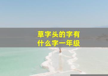 草字头的字有什么字一年级