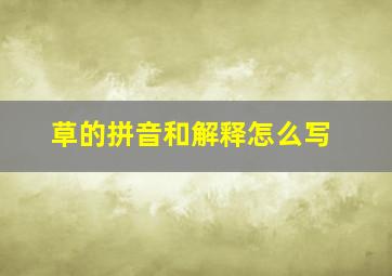 草的拼音和解释怎么写