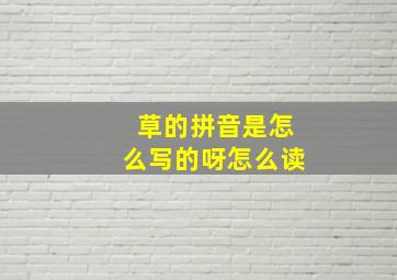 草的拼音是怎么写的呀怎么读