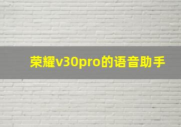 荣耀v30pro的语音助手