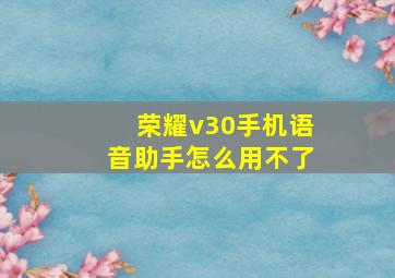 荣耀v30手机语音助手怎么用不了