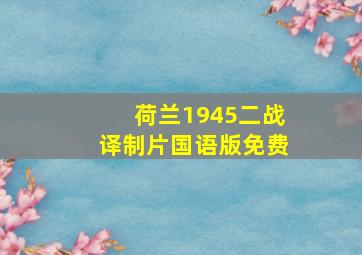 荷兰1945二战译制片国语版免费