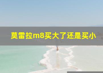 莫雷拉m8买大了还是买小