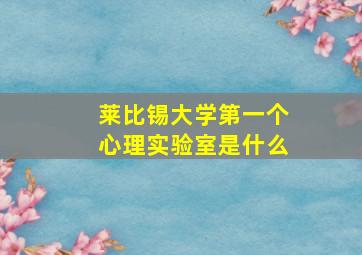 莱比锡大学第一个心理实验室是什么