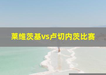 莱维茨基vs卢切内茨比赛