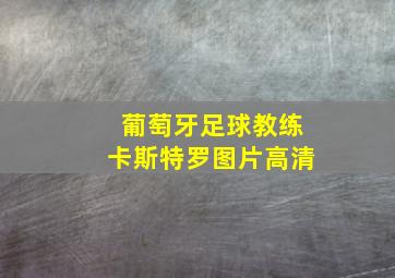 葡萄牙足球教练卡斯特罗图片高清