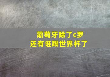 葡萄牙除了c罗还有谁踢世界杯了