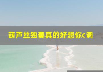 葫芦丝独奏真的好想你c调