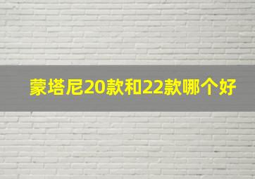 蒙塔尼20款和22款哪个好