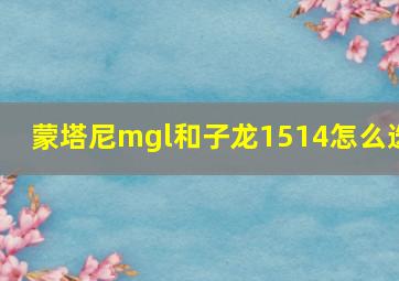 蒙塔尼mgl和子龙1514怎么选