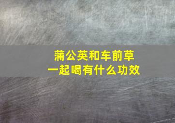 蒲公英和车前草一起喝有什么功效