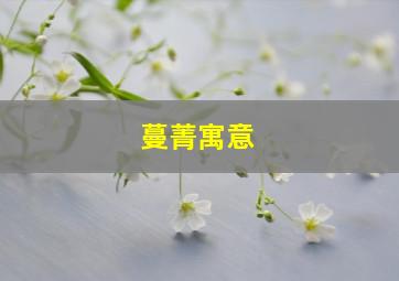 蔓菁寓意