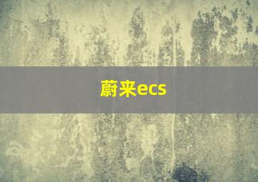 蔚来ecs