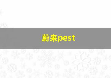 蔚来pest